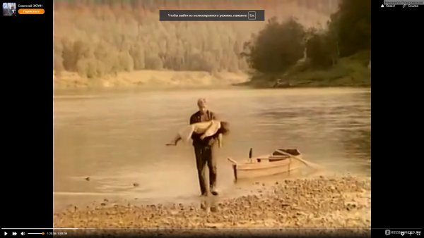 Гляжу в озёра синие, в полях ромашки рву, зову тебя Россиею,