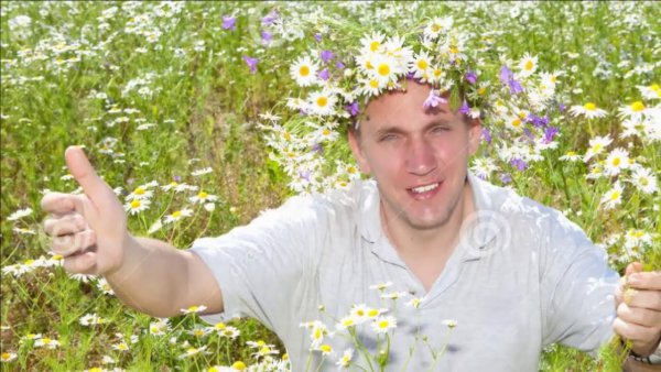 Михалыч в ромашковом поле