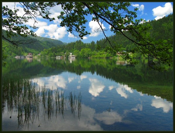 Гляжу в озера синие картинки