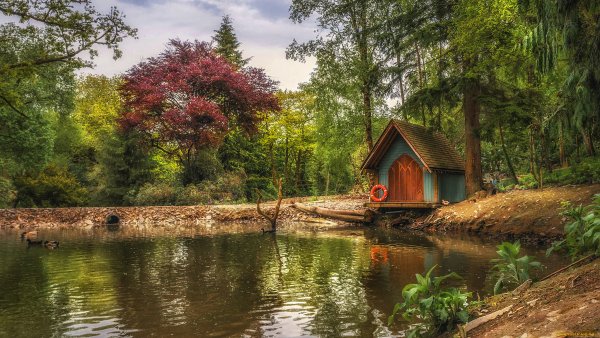 Домик в лесу