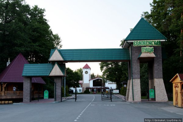 Брест Беларусь Беловежская пуща