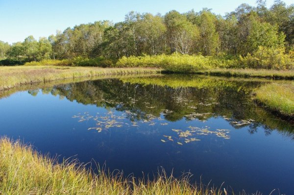 Маленькое озеро