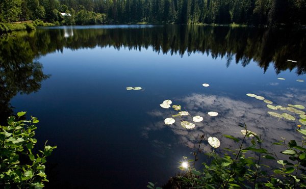 Лесное озеро Валаам