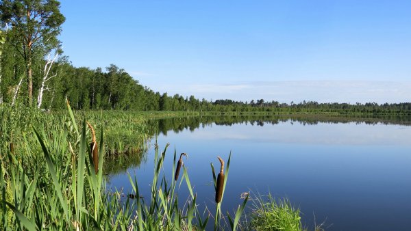 Озеро малый Тараскуль