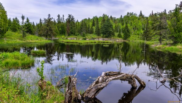 Озеро лабаз