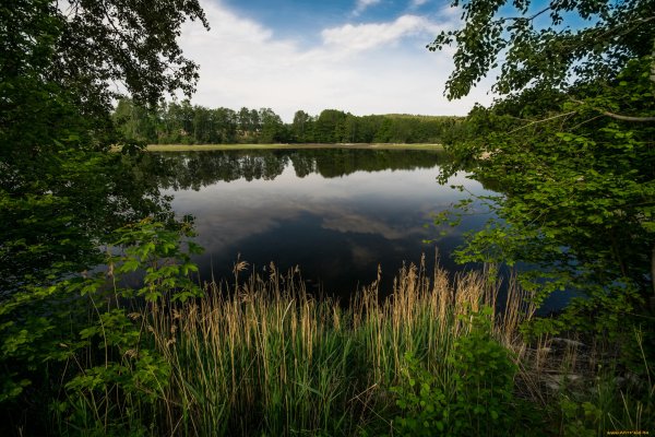 Глажево озеро
