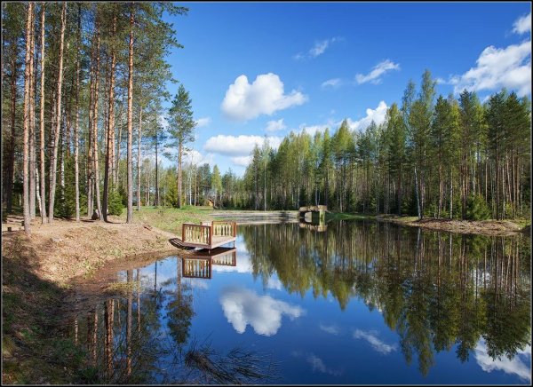 Сайвер река Марий Эл