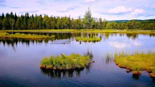 Озеро Лесное Екатеринбург