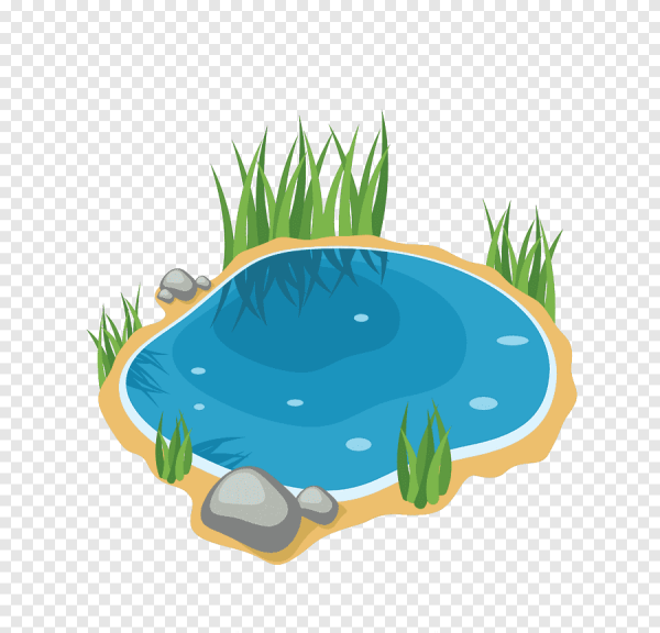 Нарисовать пруд