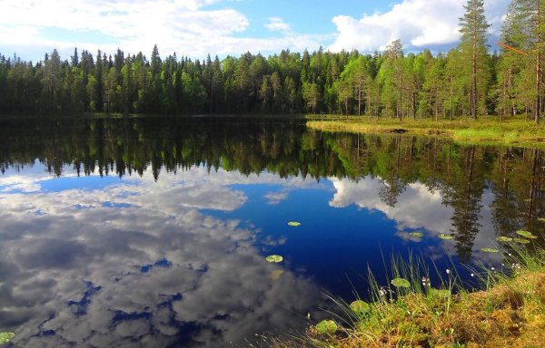 Ламбушка Петрозаводск озеро