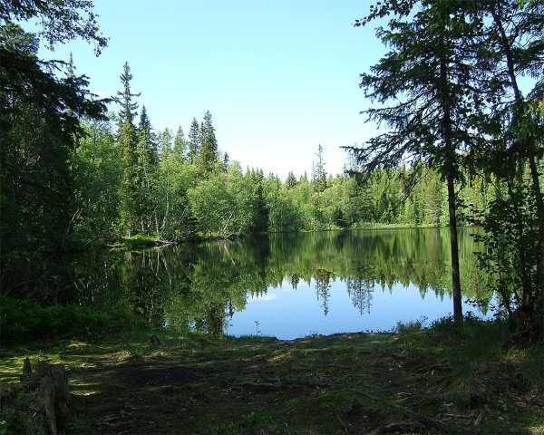 Лесное озеро Автозаводский район