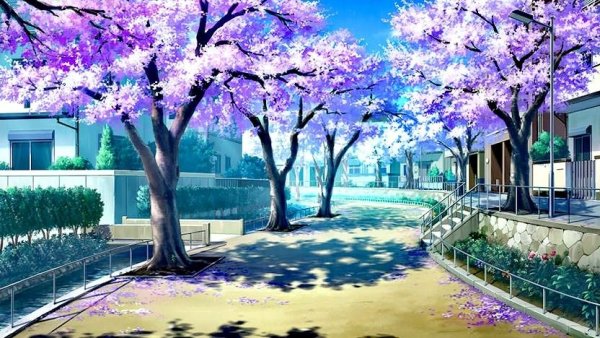 Парк с сакурой аниме