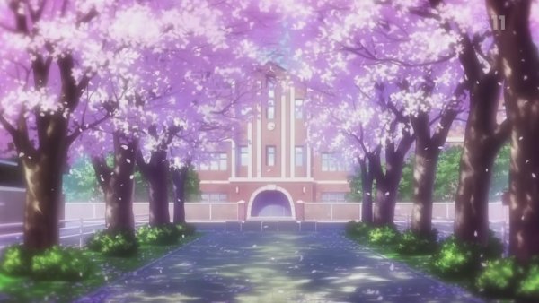 Аниме школа Сакура