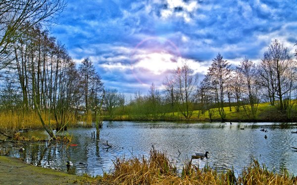 Весенний пейзаж с водой