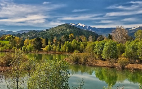 Борислав природа