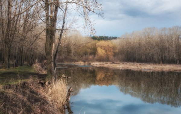 Весна озеро дождь