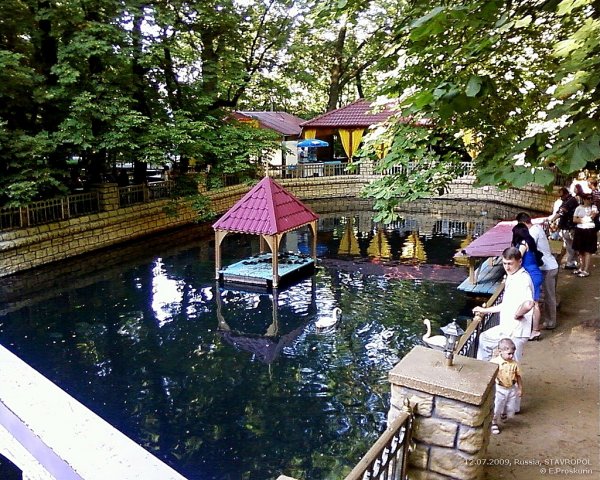 Центральный ПКИО Ставрополь