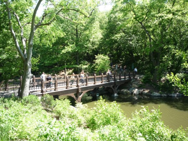 Парк в Ставрополе с лебедями