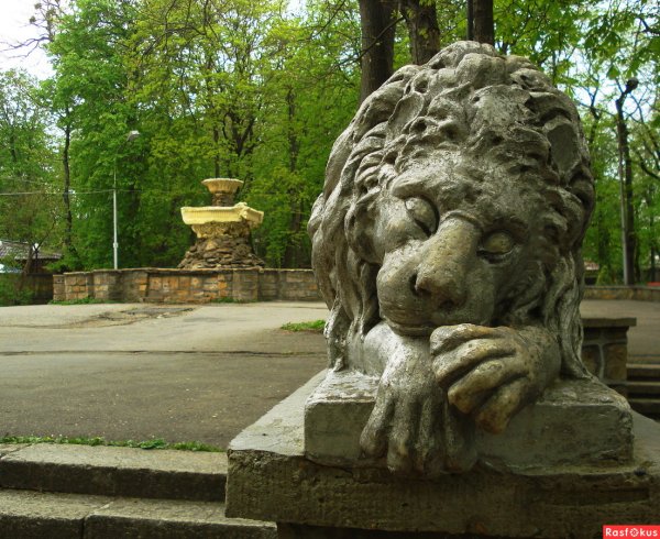 Центральный парк Ставрополь