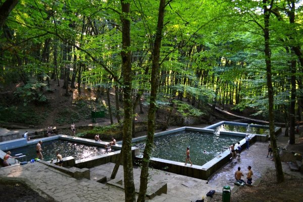 Ставрополь Таманский лес Родники