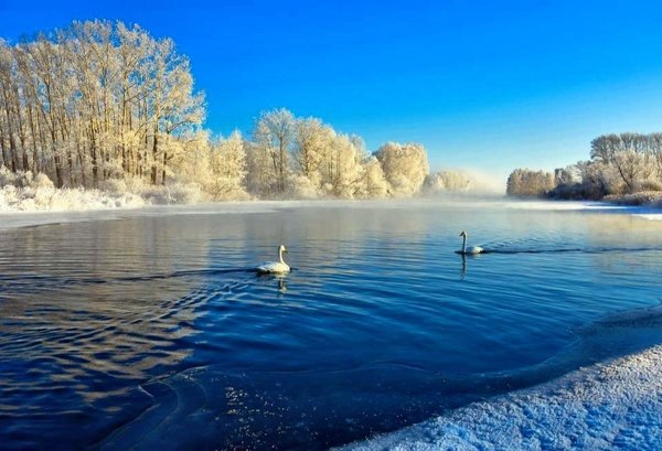 Озеро Озерное Алтайский край