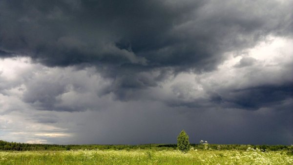 Смурное небо