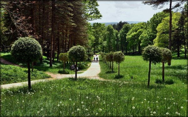 Киславодский национальный п