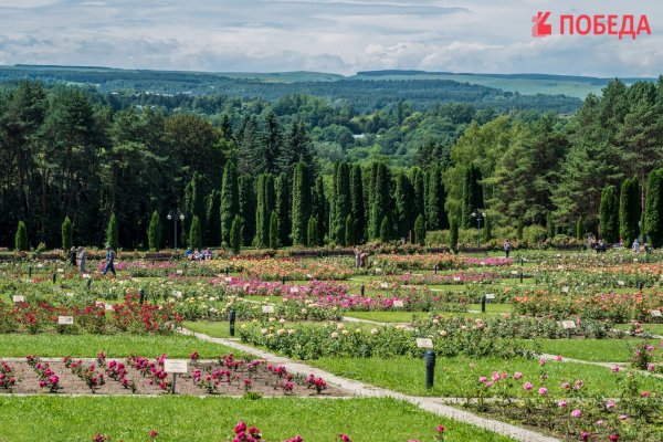 Кисловодск – Курортный парк. Долина роз