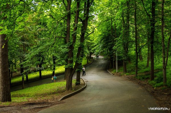 Курортный парк Кисловодск