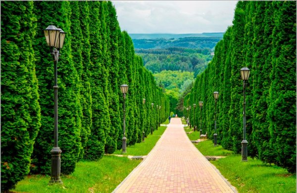 Кисловодский национальный парк терренкуры