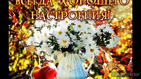 Солнечного осеннего дня и отличного настроения