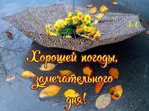 С добрым осенним утром стихи