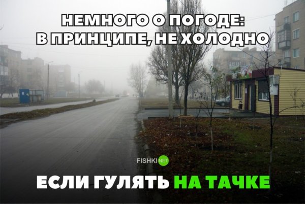В принципе не холодно