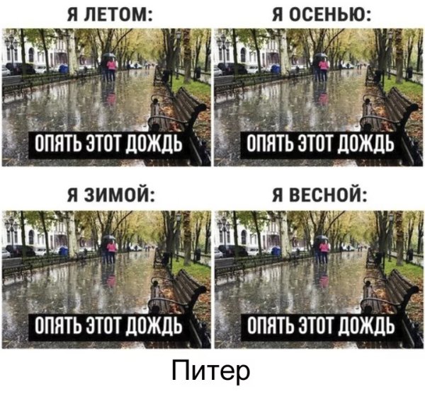 Шутки про лето в Питере