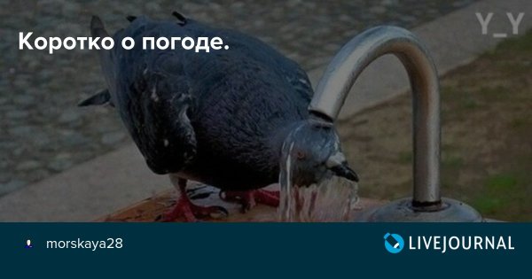 Коротко о погоде жара