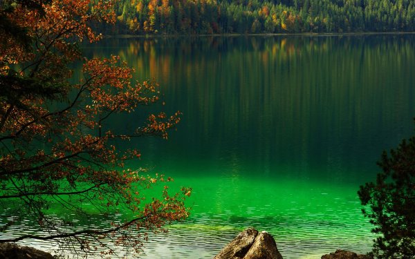 Зеленые озера Литва