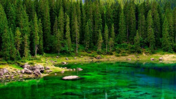 Орзеро зелёное ресурсы