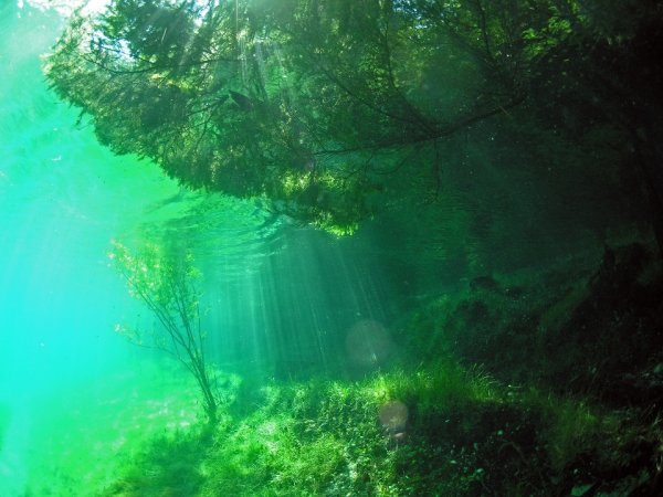 Зеленое озеро Казань