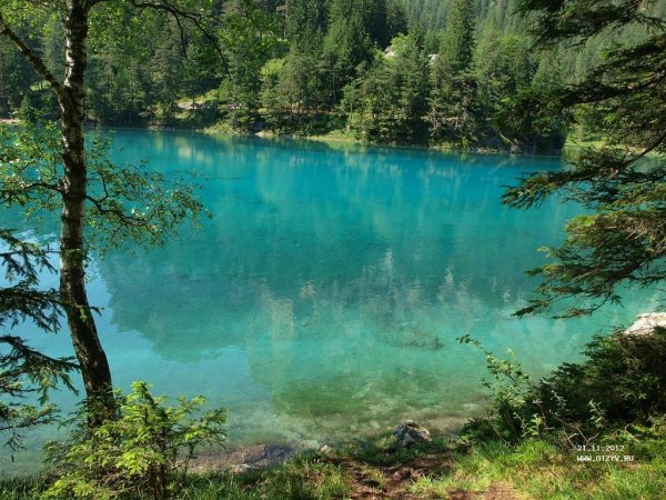 Озеро зеленое Лужский район