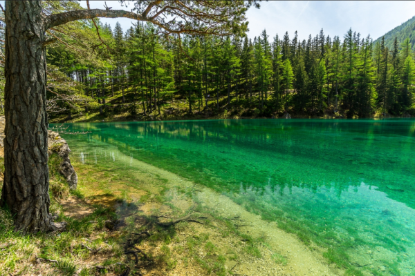 Зеленое озеро Грюнер Зее
