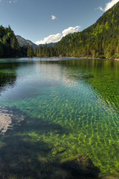 Природа лес речка
