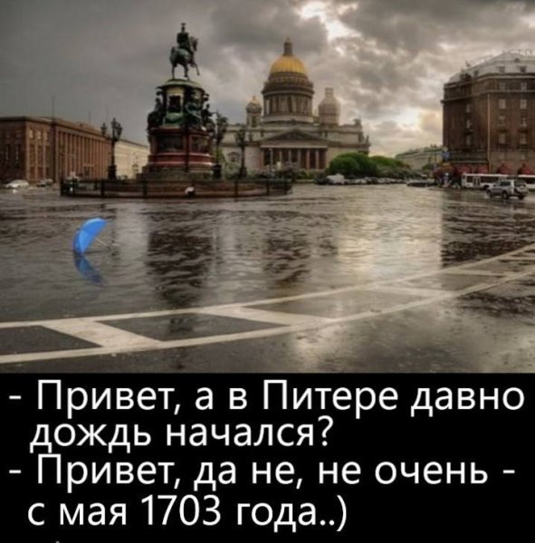Погода в Питере приколы