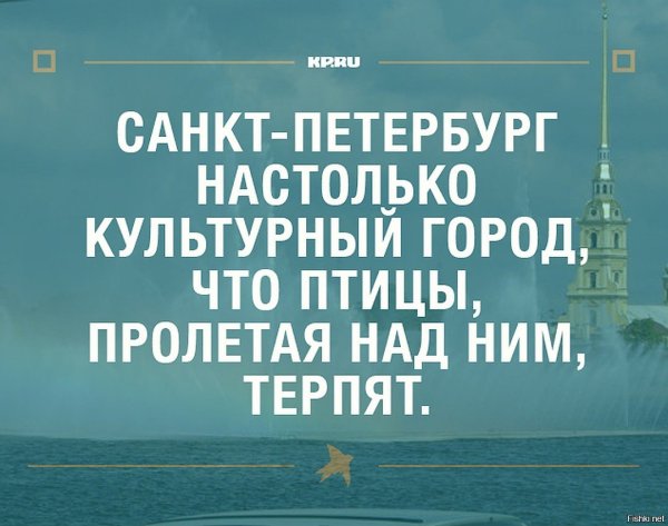 Шутки про Питер