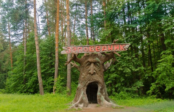 Приокско-Террасный заповедник, Московская область