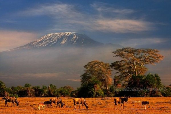 Амбосели национальный парк Африки
