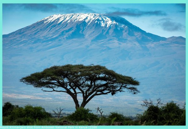 Король Лев вулкан Килиманджаро