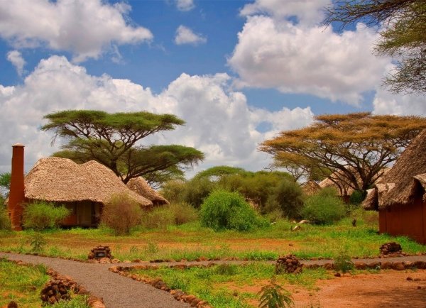 Амбосели национальный парк Африки