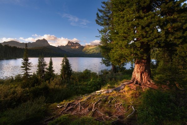 Природа Ергаки озеро светлое