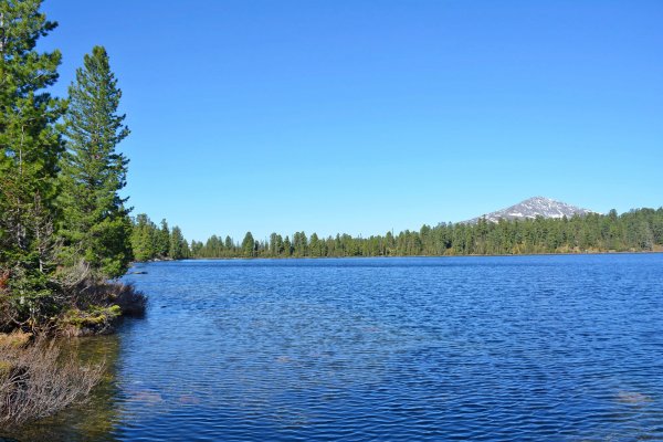 Озеро светлое ХМАО