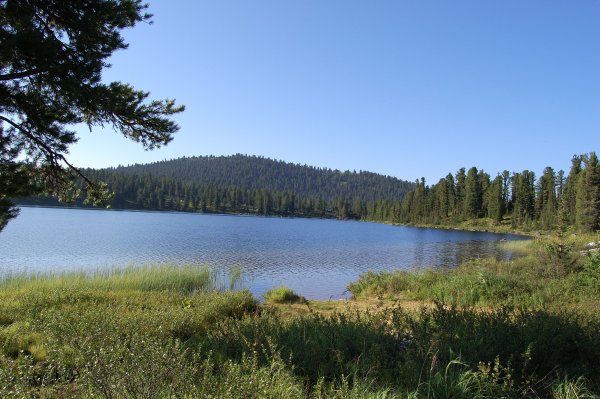 Озеро светлое Денежкин камень